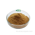 Reines natürliches Mentha-Piperita-Extrakt-Pulver